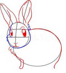 This adds character and makes the bunny look extra cute! How To Draw A Bunny Rabbit Step By Step Drawing Guide By Dawn Dragoart Com