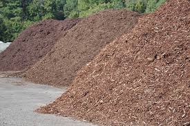 Are you looking for trees to plant in your yard? Yano S Nursery