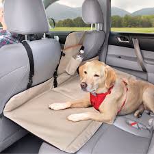 Robot Check Dog Pads Pet Dogs Dog Training Obedience