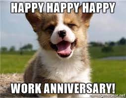46 Grumpy Cat Approved Work Anniversary Memes Quotes Gifs