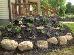 Pin By Country Doctor Veterinary Clin On The Country Doctor Vet Clinic Vet Clinics Vets Garden