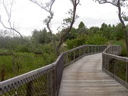 This preserve on snead island is rich with history, as there are several historic indian mounds scattered throughout the park. 10 Things To Do In Palmetto That You Shouldn T Miss