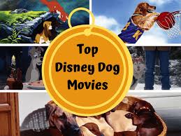 Get disney+ along with hulu and espn+ for the best movies, shows, and sports. Top Disney Dog Movies To Binge Watch Pixie Dust Savings