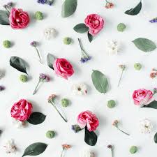 You can also upload and share your favorite pink flower white backgrounds. Wallpaper Texture Pink Roses And White Flowers On White Background Stock Photo Picture And Royalty Free Image Image 65014842