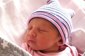 Fotogalerie: Miminka Karlovarský kraj, 5. týden roku 2025