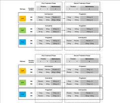 A Dosing And Titration Schedule For Each Treatment Pathway Standard Download Scientific Diagram