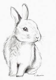Lapin De Paques A Vos Crayons Kunstskizzen Lapin De Paques A Vos Crayons En 2020 Dessin Chaton Dessin Lapin Dessin Facile Animaux