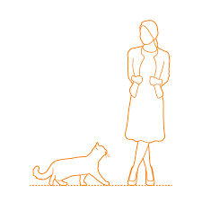 British Shorthair Cat Dimensions Drawings Dimensions Guide