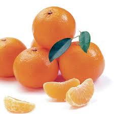 Ensure that the installation path is the same as your. Clementine Clementine Citrus Reticulata My Garden Life