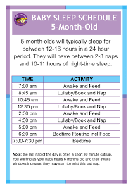 Sleep Schedule For 5 Month Old Cool Kids Hub