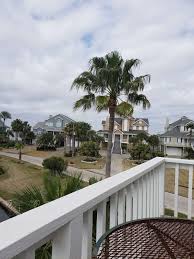 Garden centre in webster, texas. Palm Tree Paradise 3412 Petite Cir Galveston Tx 77554 Usa