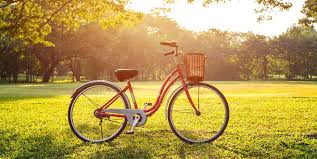 The best bicycle for you is at academy. 14 Online Bicycle Stores Where To Buy Bikes Online