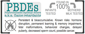 Flame Retardants Body Burden