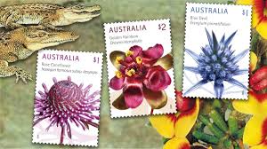 Image result for Dasylepis