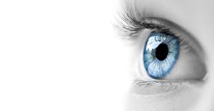 Exploring Natural Solutions for Clear Vision – Optimum Wellness Integrated  Clinic