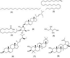 Image result for Staudtia