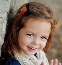 Felt Hair Clips, Felt Animal, Robin, Baby Girl, Hair Accessories, Felt Hair  Bow, School Hair Clips, Wool Felt, Hair Barrettes, Girls Gift