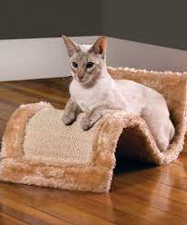 Pin By Tf Cornerstone On Best Friends Forever Awesome Pet Finds Cat Bed Cat Scratcher Cat Scratching Furniture