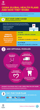 A quality health plan, includes coverage for hospital stays and treatments as well as a. Cigna International