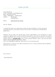 It shows the person`s achievements and qualifications. Lily International Chef Cv