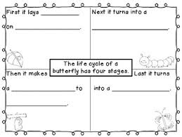 Life Cycle Of A Butterfly Four Square Writing Four Square Writing Science Writing Butterfly Writing Activities