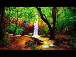 Música relaxante flauta indígena e sons da natureza acalmar a mente e relaxar. Musica Relaxante Zen Flauta Sinos Tibetanos E Sons Da Natureza Meditar E Dormir Youtube Musica Para Meditacao Flauta De Pa Musica Para Relaxar