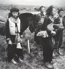 However, under the oppression of the armies of the last dynasty in china, the hmong rose in rebellion. The Hmong Were Renowned Skilled Horsemen In Seventeenth Century China The Hmong In Kweichow And Szechwan Bred Mountain Ponies Hmong People Hmong Clothes Hmong