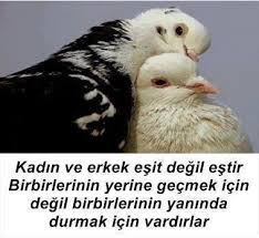 Apsua Meryem Adli Kullanicinin Hayata Dair Hersey Panosundaki Pin Guzel Soz Kadin