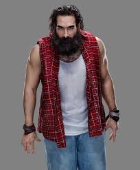 Huber, known to fans at both brodie lee and luke harper, died of a non covid. Jon Huber Imdb