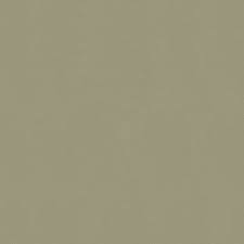 Image result for Light Beige 1990 Tracer