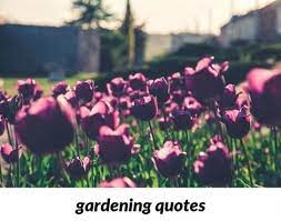 Gardening Quotes 27 20180822095655 53 Leonard Gardening Knife Japanese Gardening Tools For Sale I Garden Tools For Sale Garden Tools Planting Apple Trees