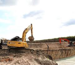 CÔNG TY CỔ PHẦN NÔNG NGHIỆP BAF VIỆT NAM - Người quan sát