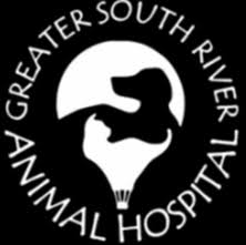 We care about your pet's health! Home Veterinarian In Edgewater Md Greater South River Animal Hosptial