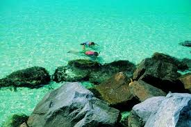 Visit the acclaimed white sand beaches of panama city beach. St Andrews State Park Panama City Beach Fl Panama City Beach Vacation Panama City Panama Panama City Beach Fl