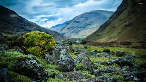 Browse wall murals online or contact us to get started today. Rocky Mountain Wallpaper Nature Wallpapers 15157