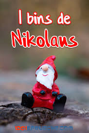 Nikolaus 49 Bilder Schone Spruche Lustig 2019 Nikolaus Lustig Weihnachten Lustige Bilder Nikolaus Bilder