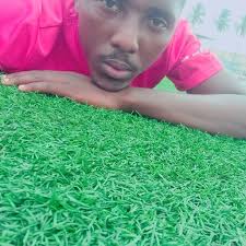 Joãzinho Pedro Panzo (@joarginho)