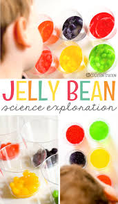 Jelly Bean Science Experiment Mrs Jones Creation Station