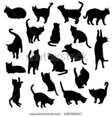 Set Vector Silhouettes Of The Cat Different Poses Standing Jumping And Sitting Black Color Isolated On White Cat Outline Images Cat Silhouette Cat Outline