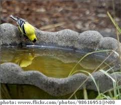 It's well designed and shallow enough that birds can drink and have a bath, without the risk of drowning. Epingle Sur Birdbath Garden Designs