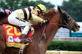 Country House Out Of Preakness Stakes In Triple Crown Debacle