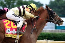 Country House Out Of Preakness Stakes In Triple Crown Debacle