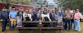 Masters Open Shooting Dog Championship