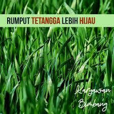 Aku merasa malu sekali dipandangi dalam keadaan seperti itu. Introduction Rumput Tetangga Lebih Hijau By Karyawan Bimbang A Podcast On Anchor