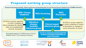 Information@cancer.nsw.gov.au locked bag 2030, st leonards nsw 1590. Ccgmc Covid 19 And Cancer Task Force
