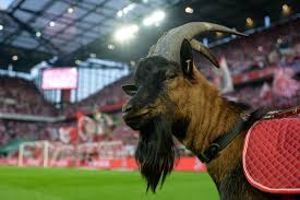 Aug 06, 2021 · 1. Bayern Munich Vs Koln 2020 21 Bundesliga All Updates Bavarian Football Works