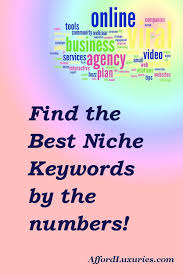 When Building You Site It S Very Important To Know How To Find The Best Niche Keyword It S A Numbers Ga Pinterest Tutorial Business Blog Small Business Advice