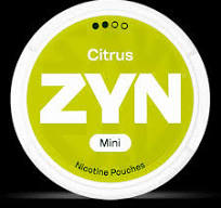 Nicotine Pouches - Buy Premium Tobacco-Free Options Online