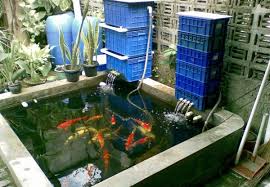 Filter kolam ikan koi filter inilah yang menjadi salah satu penentu apakah kolam terlihat sempurna kecantikan serta keindahannya atau tidak. Tips Trik Cara Membuat Kolam Ikan Minimalis Modern 2019 Ragam Jenis Ikan