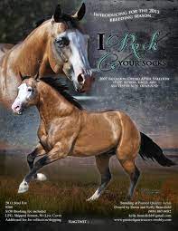 › aqha stallions in ohio. Buckskin Overo Apha Stallion Horses Aqha Horses American Paint Horse